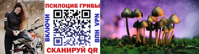 Псилоцибиновые грибы GOLDEN TEACHER  Купить где  Оса 