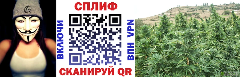 Каннабис Ganja  Купить  Оса 